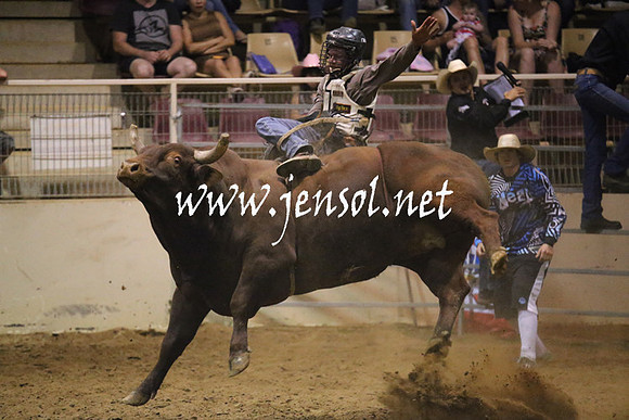 RealDealRodeoNov2013_1130