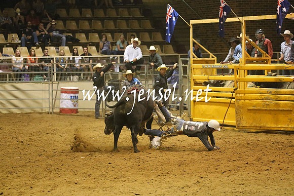 RealDealRodeoNov2013_1377