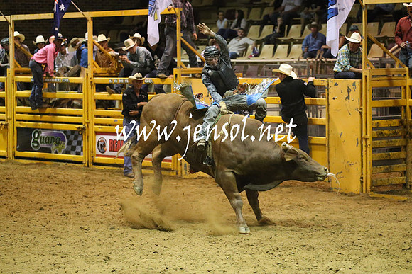 RealDealRodeoNov2013_1075