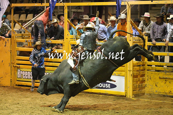 RealDealRodeoNov2013_1051