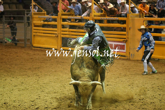 RealDealRodeoNov2013_0579