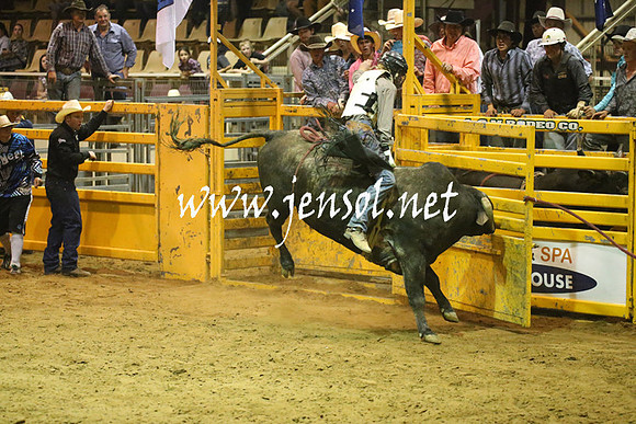 RealDealRodeoNov2013_1984