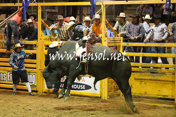RealDealRodeoNov2013_1048