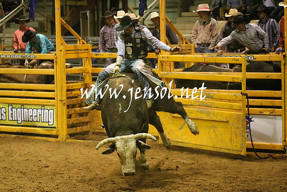 RealDealRodeoNov2013_1043
