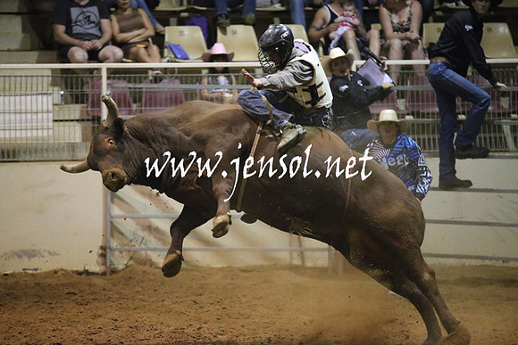 RealDealRodeoNov2013_1128
