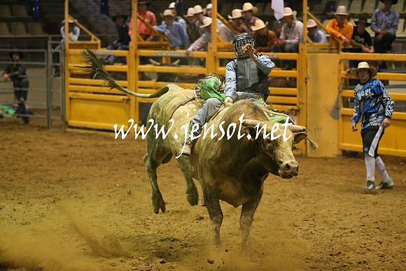RealDealRodeoNov2013_0584