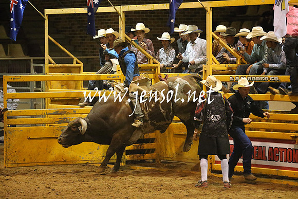 RealDealRodeoNov2013_1087