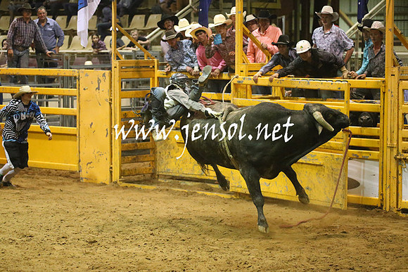 RealDealRodeoNov2013_1992