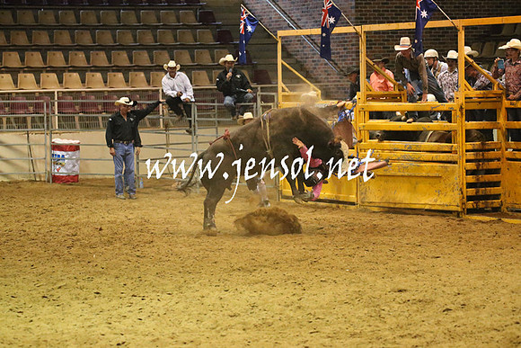 RealDealRodeoNov2013_0630