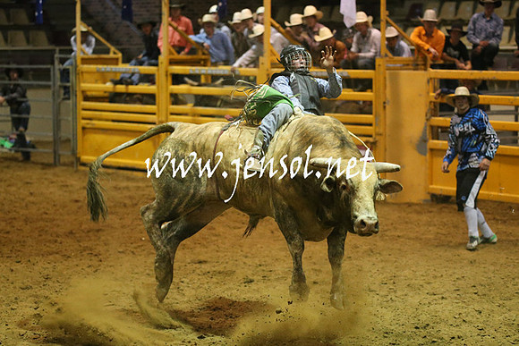 RealDealRodeoNov2013_0583
