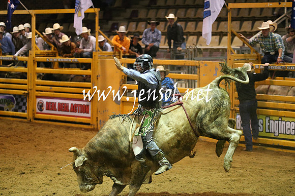 RealDealRodeoNov2013_0578