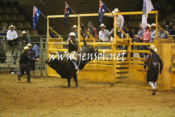 RealDealRodeoNov2013_1362