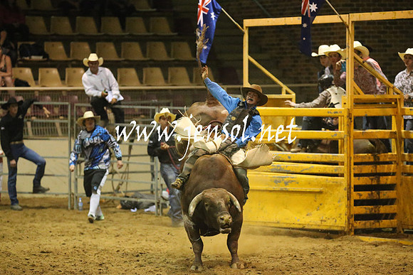 RealDealRodeoNov2013_1097