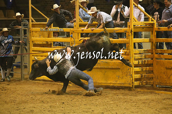 RealDealRodeoNov2013_1434
