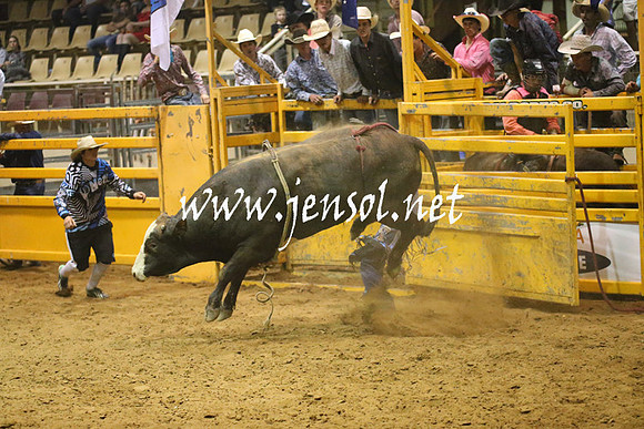 RealDealRodeoNov2013_1458