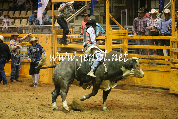 RealDealRodeoNov2013_1035