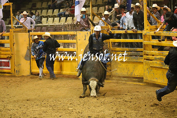 RealDealRodeoNov2013_1444