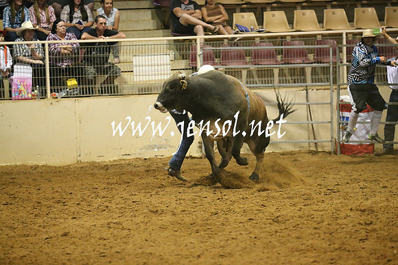 RealDealRodeoNov2013_0646