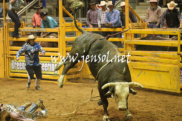 RealDealRodeoNov2013_1045