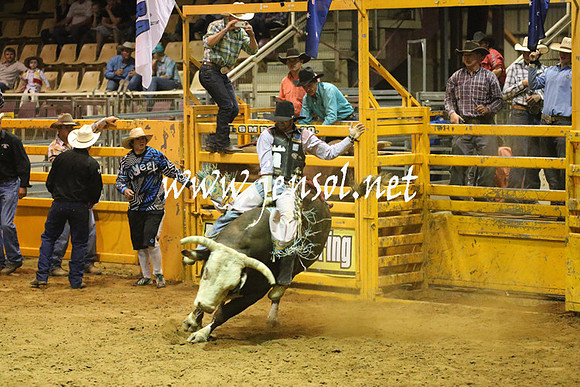 RealDealRodeoNov2013_1032