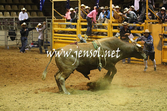 RealDealRodeoNov2013_1084