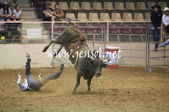 RealDealRodeoNov2013_0639