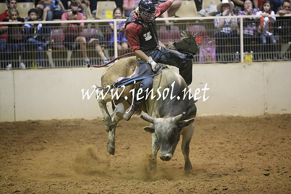 RealDealRodeoNov2013_1418