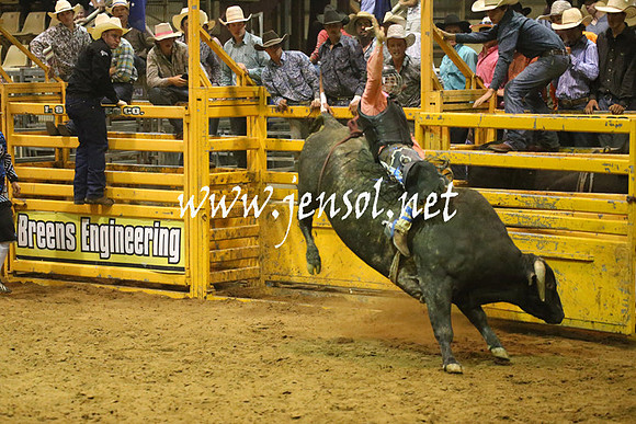 RealDealRodeoNov2013_1464