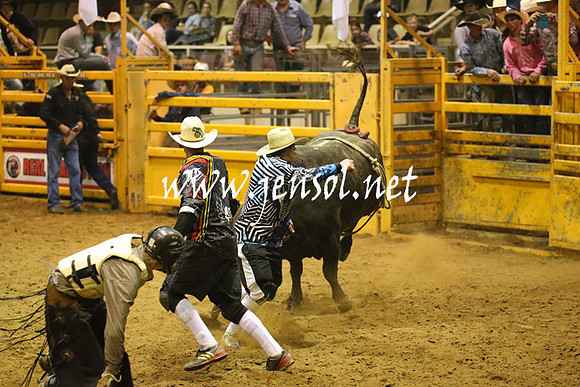 RealDealRodeoNov2013_1999