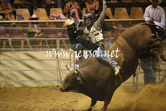 RealDealRodeoNov2013_1121