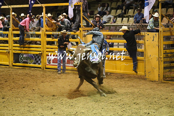 RealDealRodeoNov2013_1077