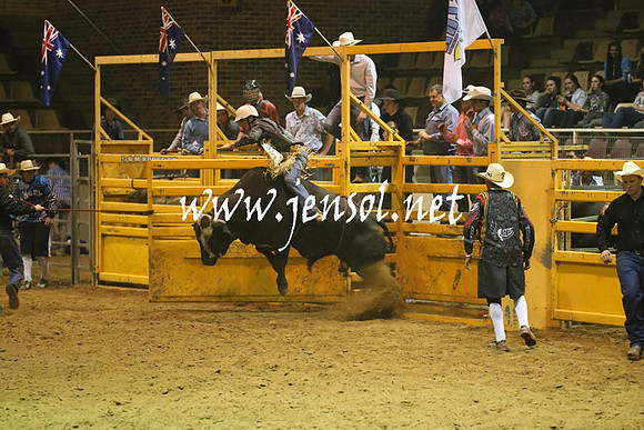 RealDealRodeoNov2013_1358