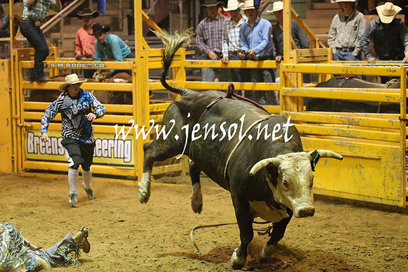 RealDealRodeoNov2013_1046