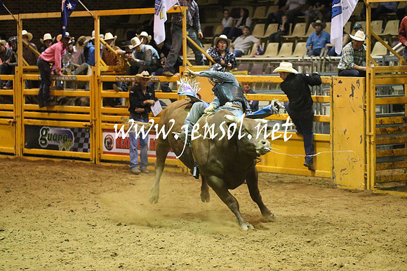 RealDealRodeoNov2013_1076