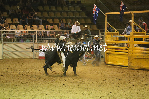RealDealRodeoNov2013_1373
