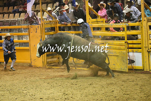 RealDealRodeoNov2013_1456