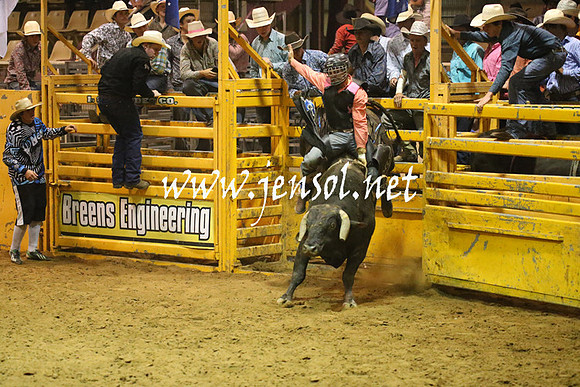RealDealRodeoNov2013_1459