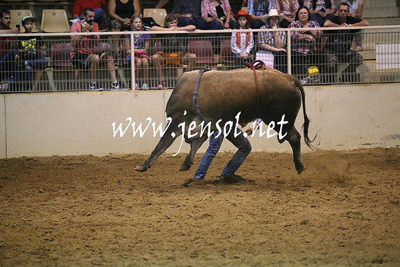 RealDealRodeoNov2013_0648