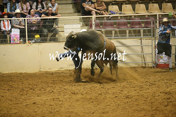 RealDealRodeoNov2013_0647