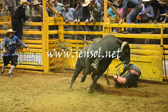 RealDealRodeoNov2013_1480