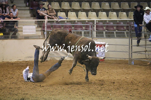 RealDealRodeoNov2013_0638
