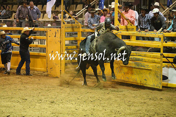 RealDealRodeoNov2013_1981