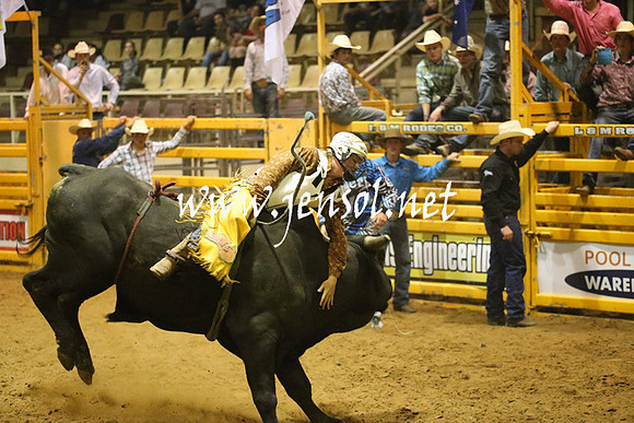 RealDealRodeoNov2013_1494