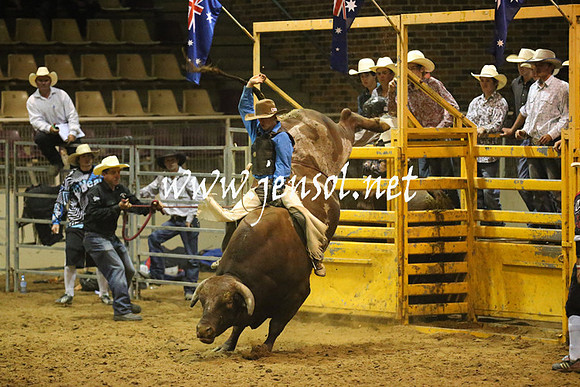 RealDealRodeoNov2013_1093