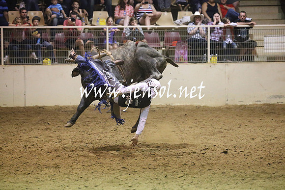 RealDealRodeoNov2013_1392
