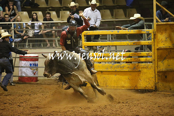 RealDealRodeoNov2013_1402