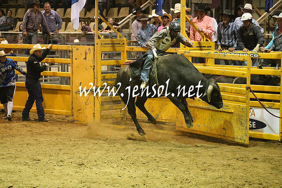 RealDealRodeoNov2013_1982