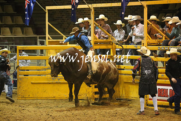 RealDealRodeoNov2013_1090