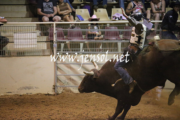 RealDealRodeoNov2013_1124