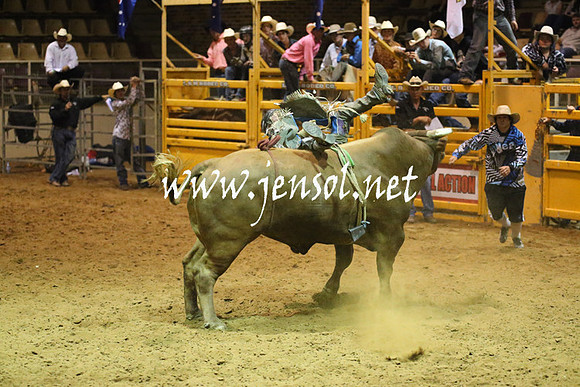 RealDealRodeoNov2013_1083